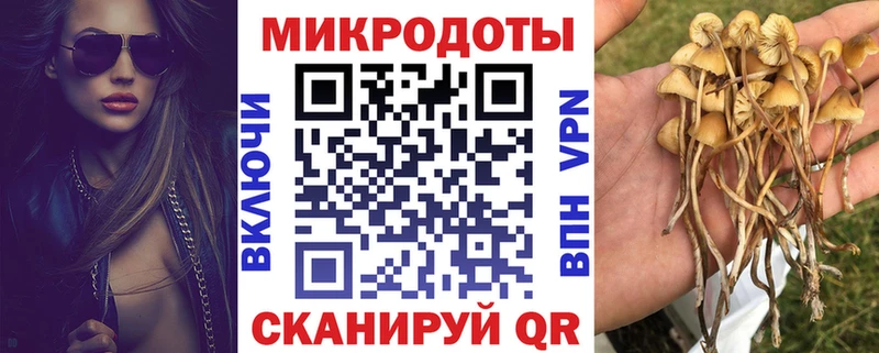 Галлюциногенные грибы мицелий  где купить   Сатка 
